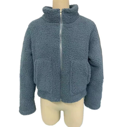 Autumn Winter Faux Fur Coat Women 2026 Casual Warm Soft Zipper Fur Short Jacket Plush Overcoat Pocket Teddy Coat Female Jacket